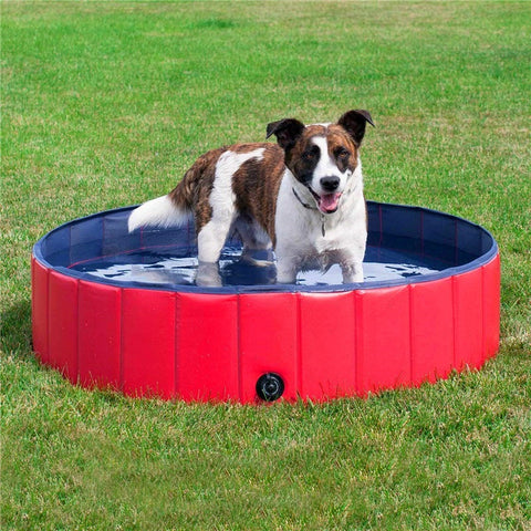 Heavy Duty Large Plastic Dog Swimming Pool